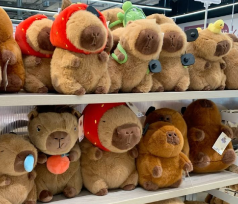 Cách dỗ người yêu