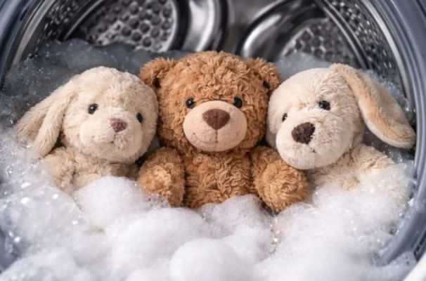 cách giặt gấu bông