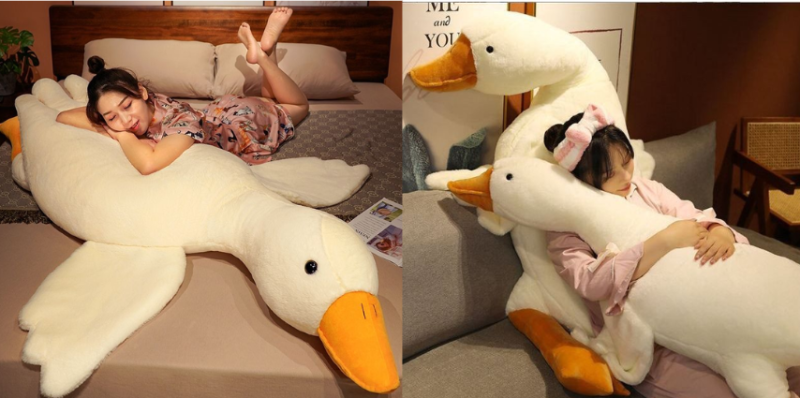 gấu bông size lớn