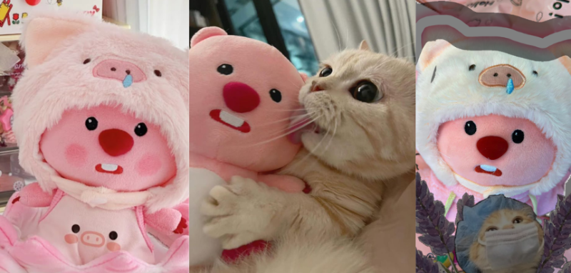 làm gấu bông theo yêu cầu