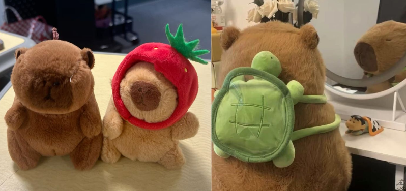 móc khóa gấu bông capybara