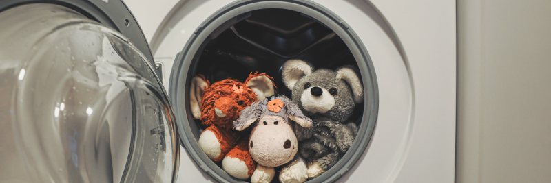 cách giặt gấu bông