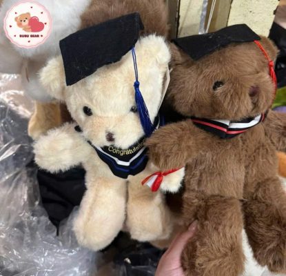 gấu bông tốt nghiệp