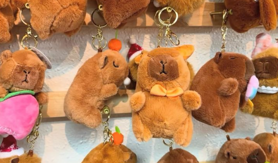 móc khóa gấu bông capybara