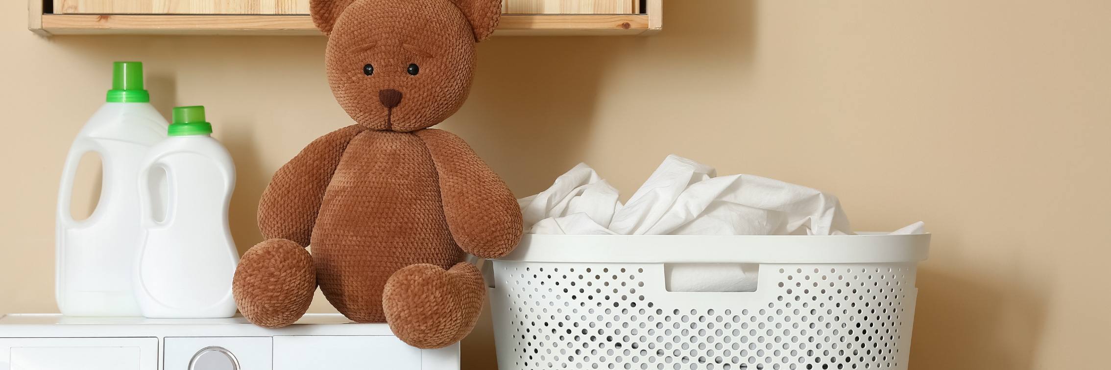 cách giặt gấu bông