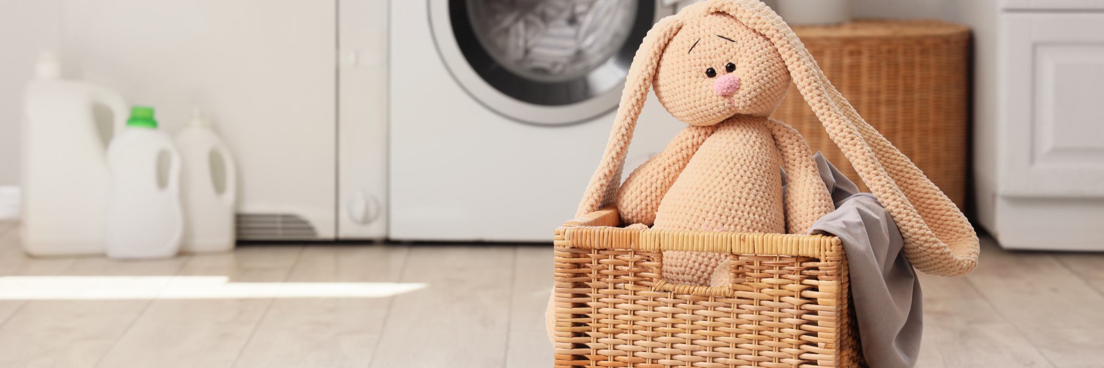 bảo quản gấu bông