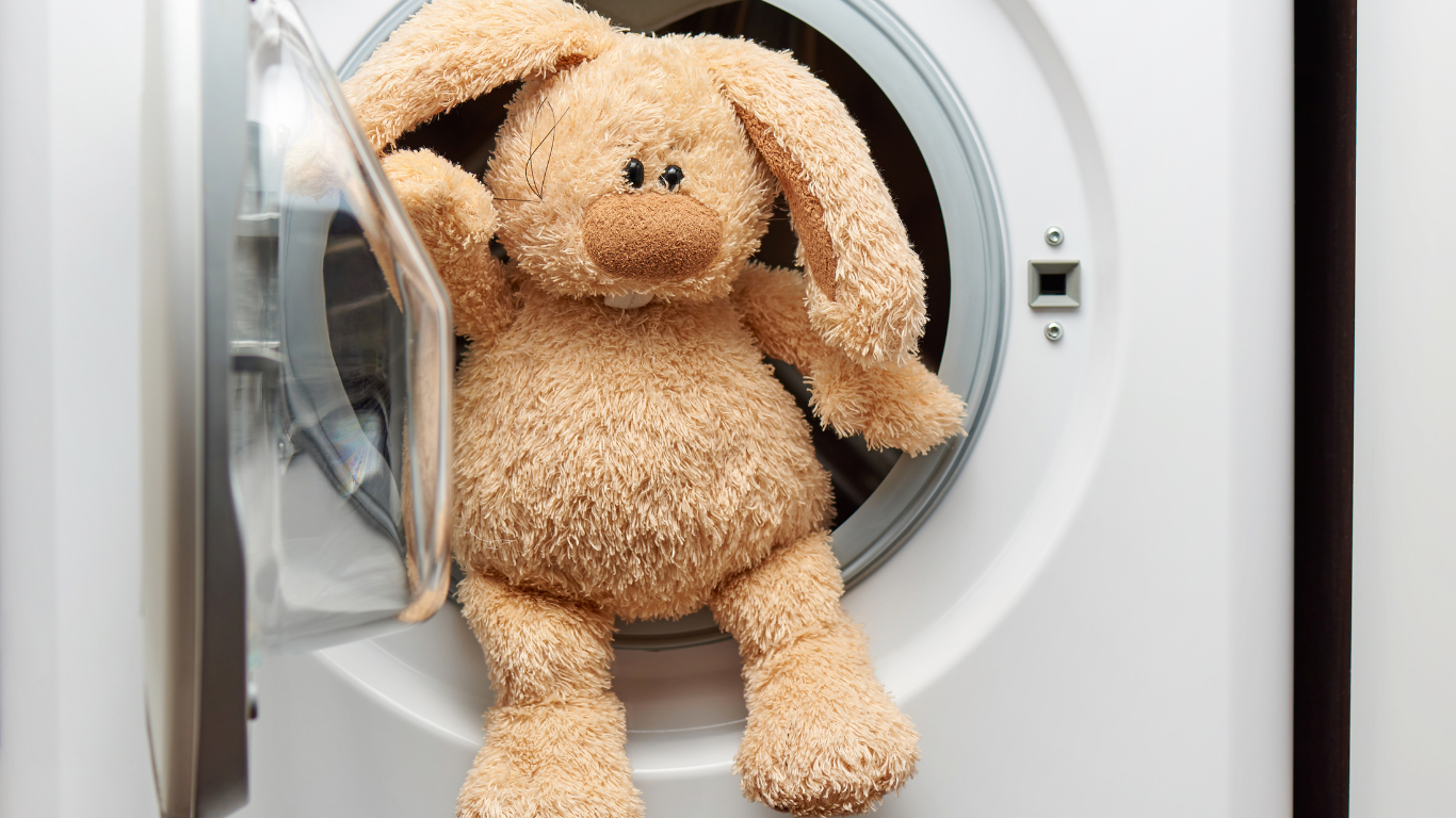 cách phơi gấu bông