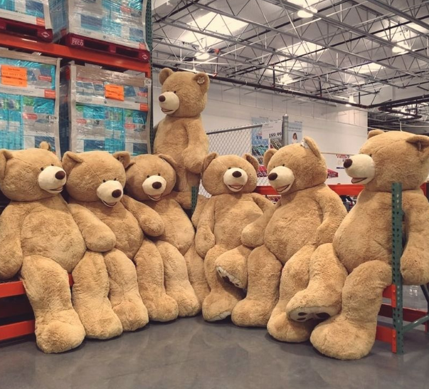 gấu bông giá sỉ