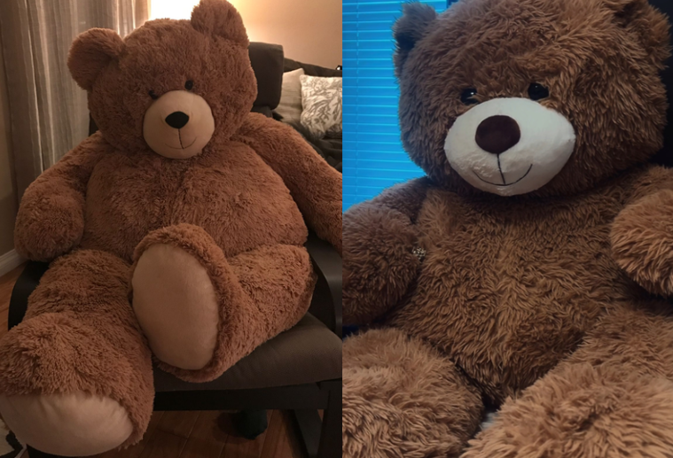 gấu bông size lớn