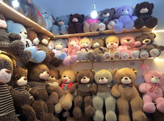 gấu teddy